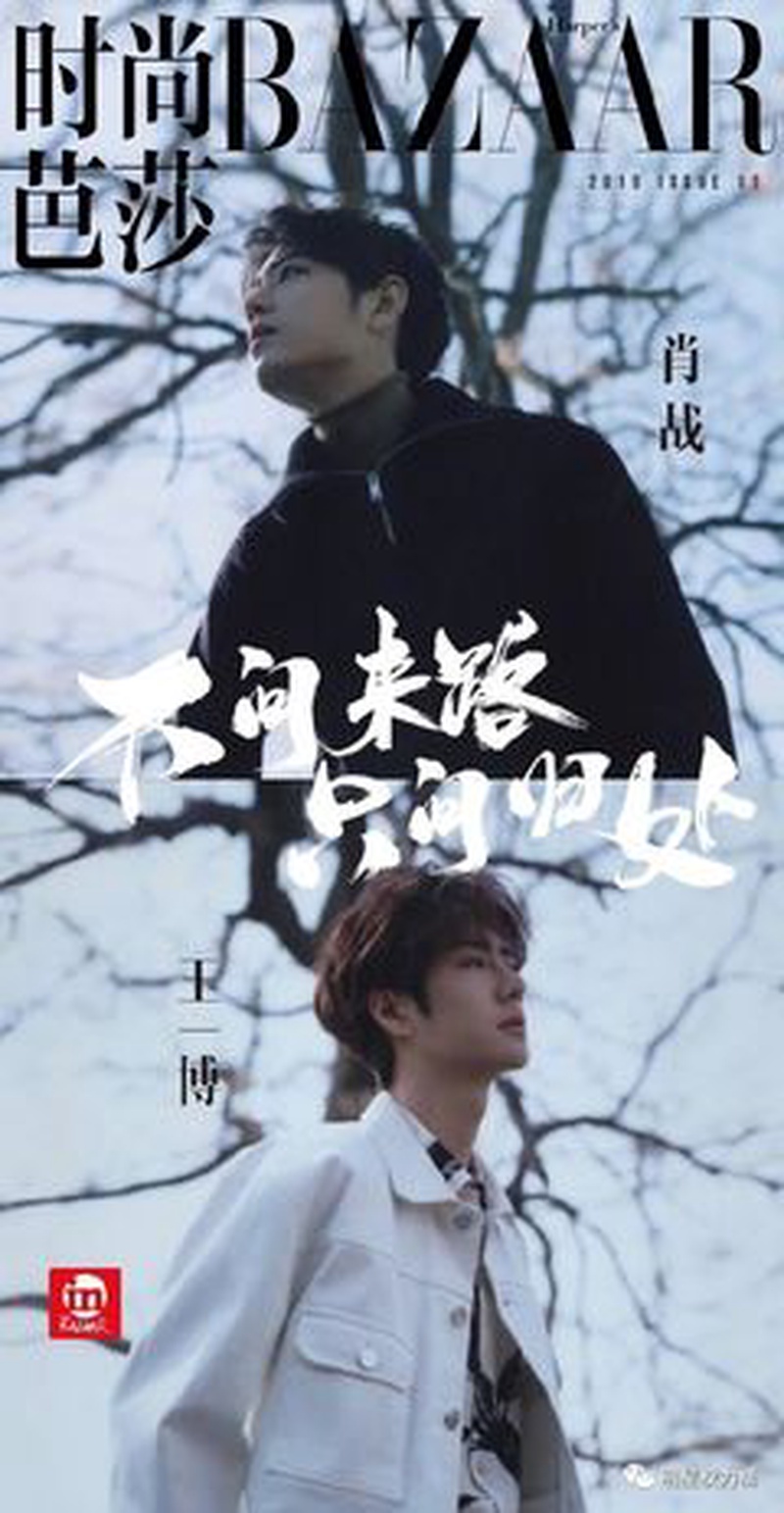肖战